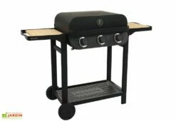 Barbecue Au Gaz Sur Chariot En Métal – 3 Brûleurs