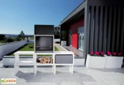 Barbecue Design En Béton LIV05