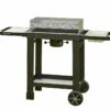 Barbecue à Charbon De Bois En Acier Surface 57 X 30 Cm – Easy 60 -MON AMENAGEMENT JARDIN Soldes barbecue rectangle easy 60 6