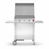 Plancha à Gaz En Inox Chef 55 (53 X 40 Cm) + Chariot Fermé Et Housse -MON AMENAGEMENT JARDIN Soldes chariot ferme plancha gaz inox chef55