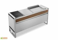 Table De Cuisson En Inox Avec Plancha électrique + Plaque à Induction Oasi 183C